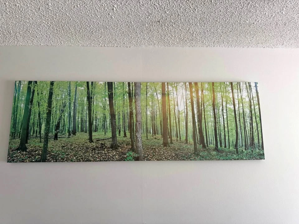Panoramic Forest Canvas Wall Art