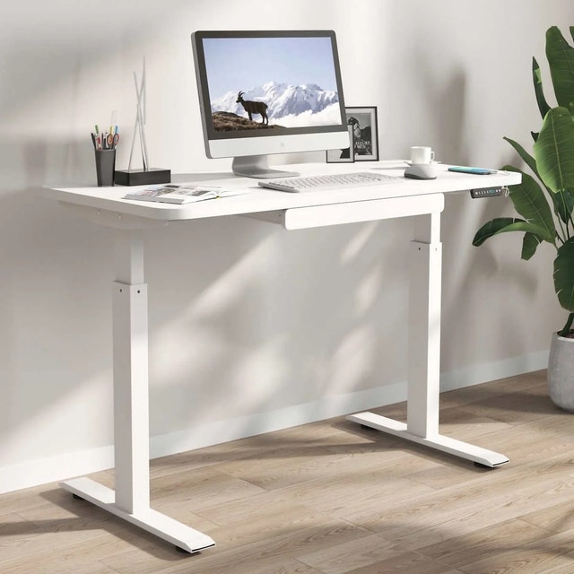 Adjustable Standing Desk White