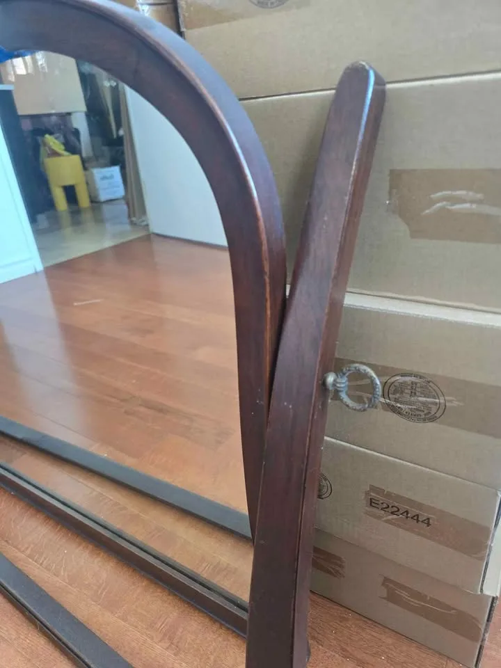 Mirror swing image indicator(4)