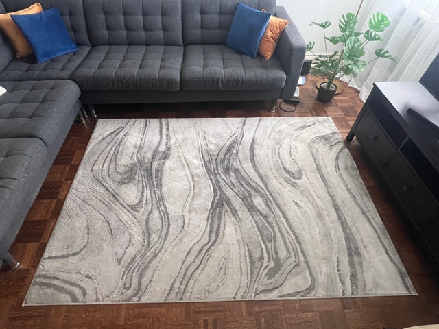 Area Rug – 5’3” x 7’3” - photo 3