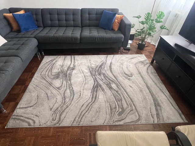 Area Rug – 5’3” x 7’3” - photo 4