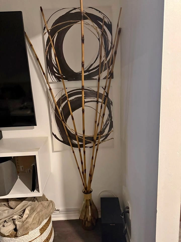 BAMBOO sticks WITH VASE