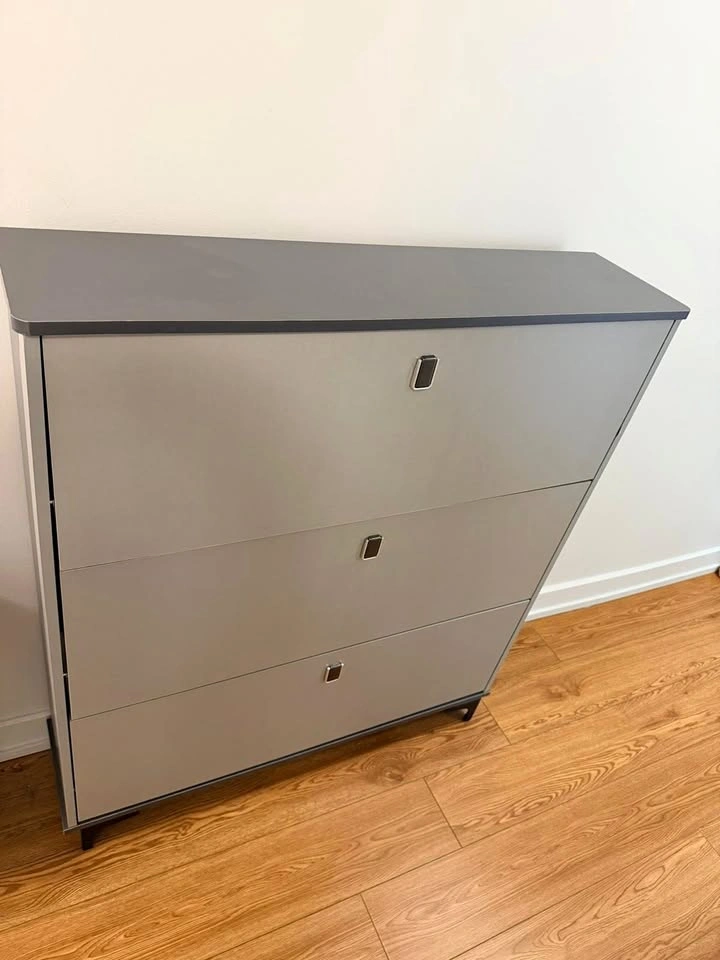 Modern Slim Shoe Storage Cabinet (3-Compartment)