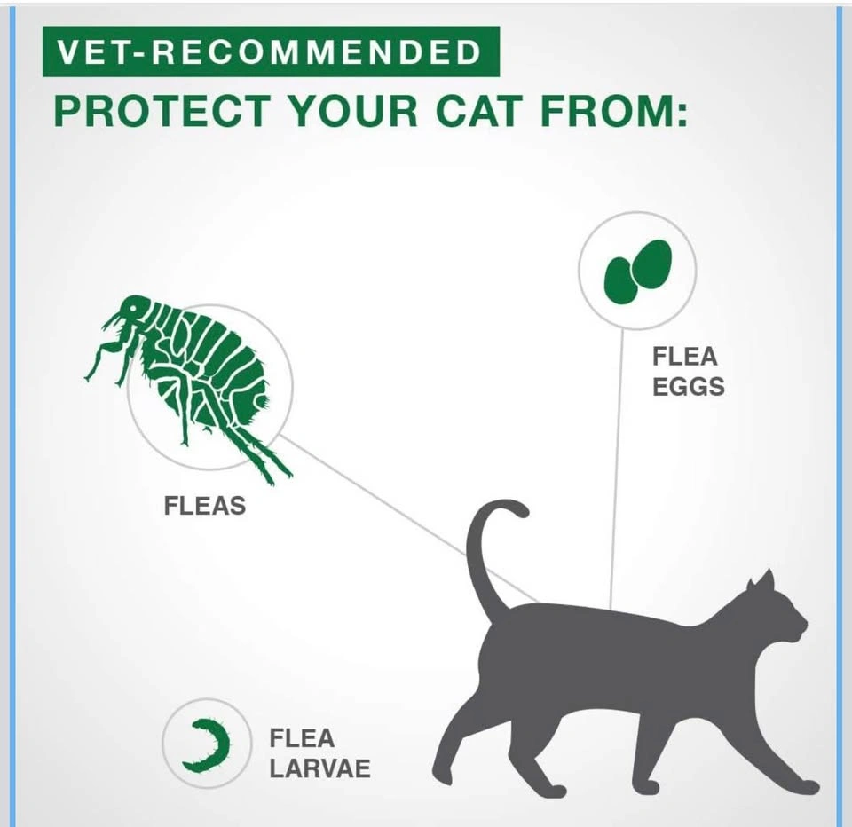 Elanco Advantage II Flea Treatment (Large Cat/Rabbit > 4kg) - photo 3