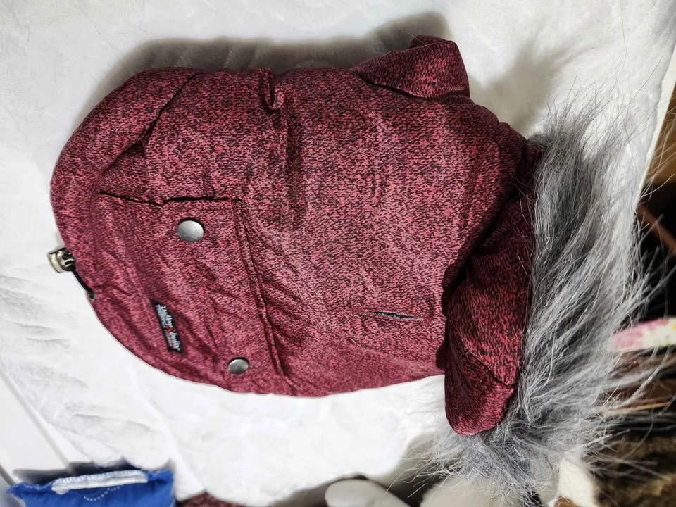 Dog Winter Jacket with Back Pocket - photo 4