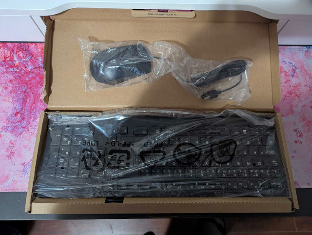 Lenovo basic keyboard and mouse