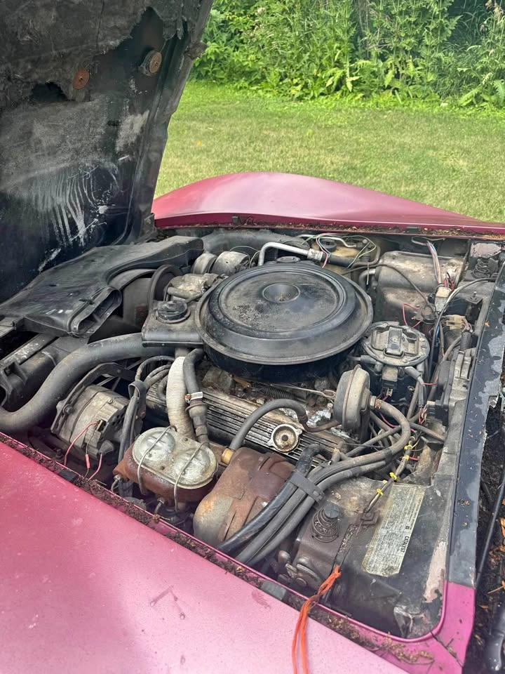1979 Chevrolet Corvette