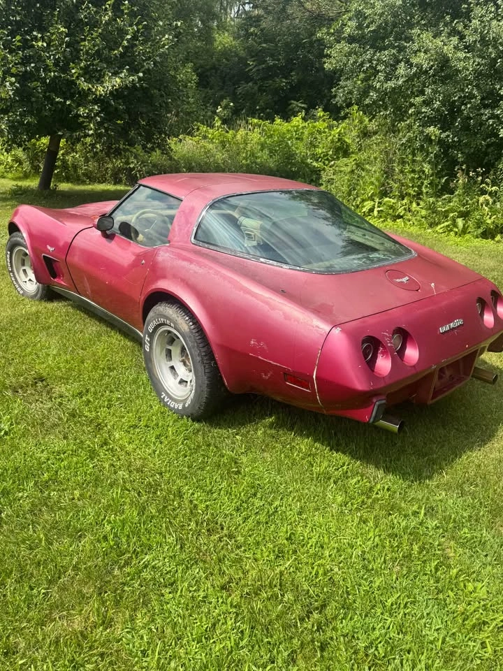 1979 Chevrolet Corvette - photo 2