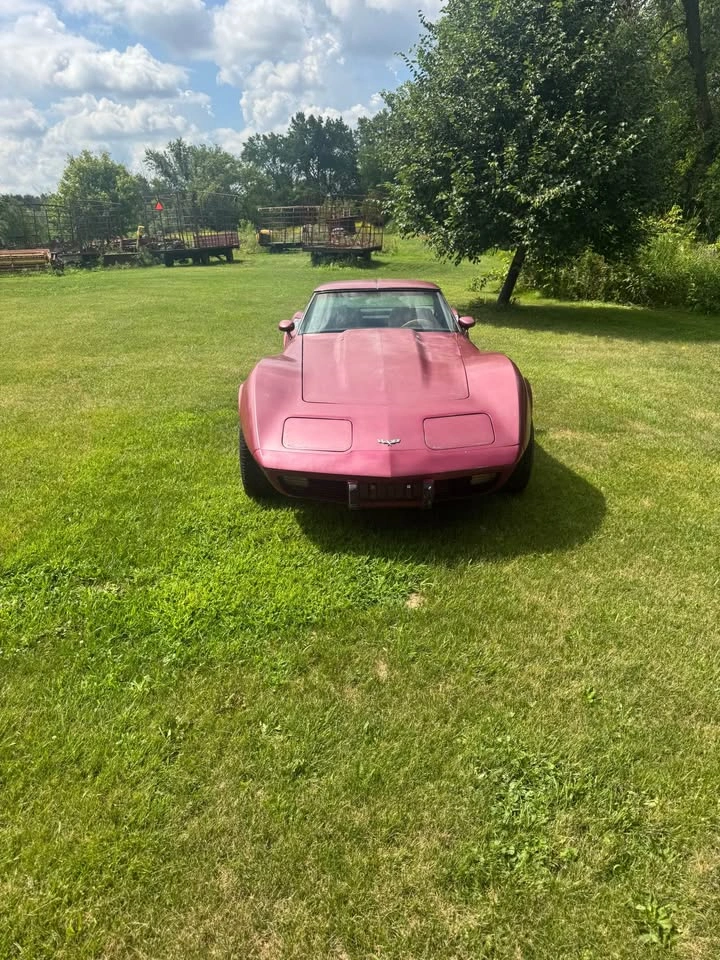 1979 Chevrolet Corvette - photo 4