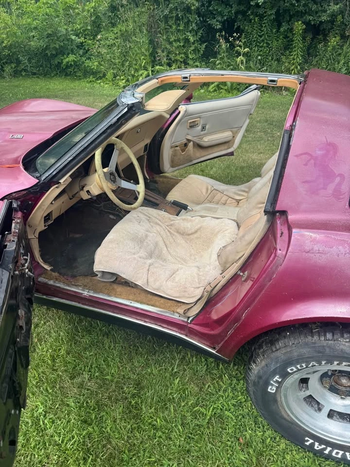 1979 Chevrolet Corvette - photo 5