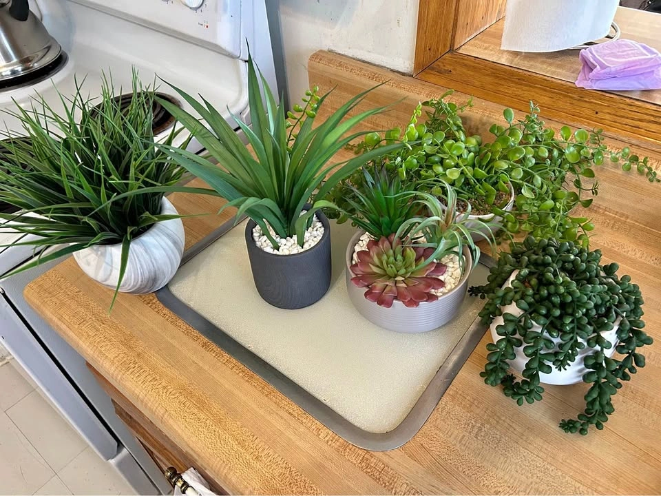 Decorative Plants Fake