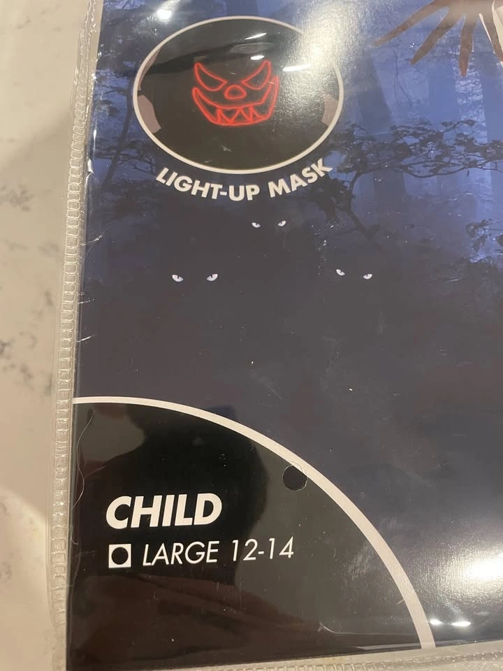 Child's Light Up Jackolantern Halloween Costume (12-14) - photo 2