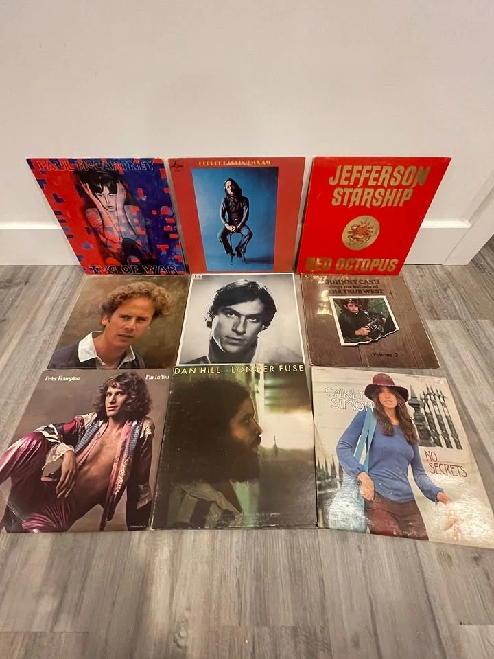 Vintage Vinyl LPs - Random Titles - photo 2