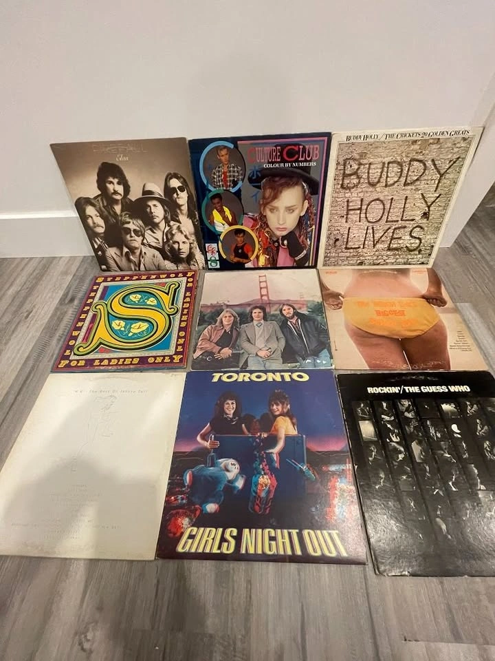 Vintage Vinyl LPs - Random Titles - photo 3