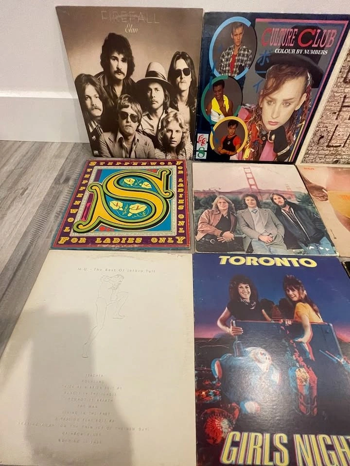 Vintage Vinyl LPs - Random Titles - photo 4