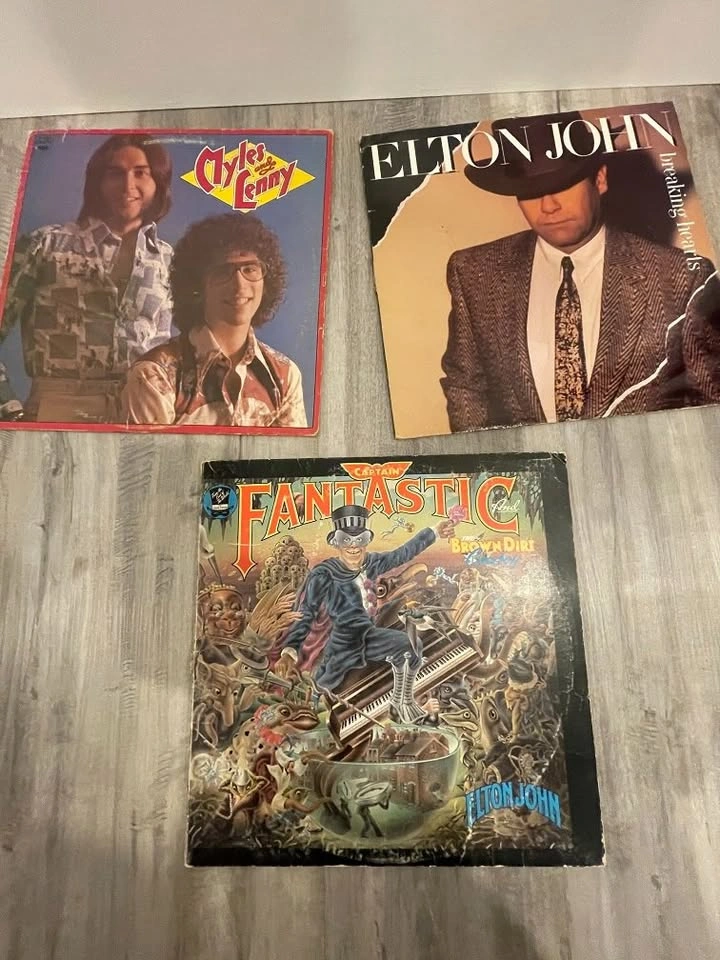 Vintage Vinyl LPs - Random Titles - photo 5