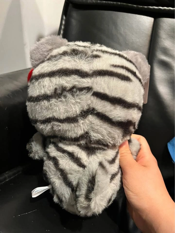 Hello Kitty Plushie made in China - photo 2