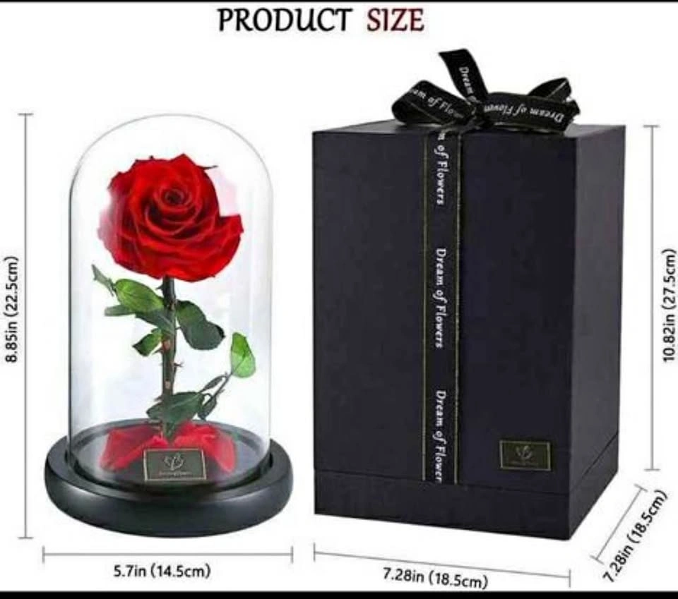 Dream of Flowers Preserved Red Rose in Glass Dome w Gift Box
