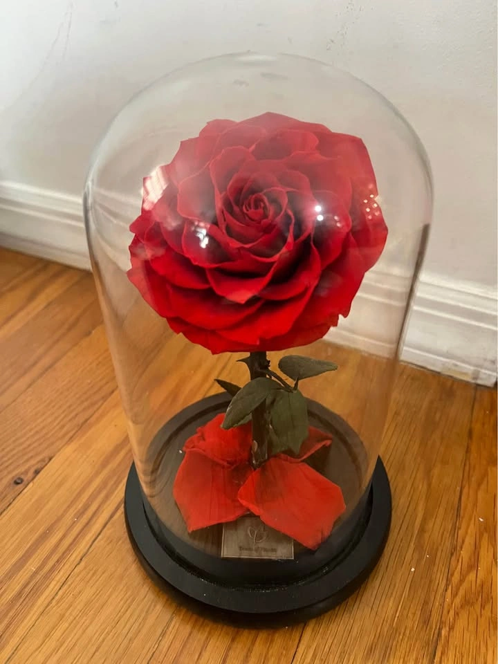 Dream of Flowers Preserved Red Rose in Glass Dome w Gift Box - photo 3