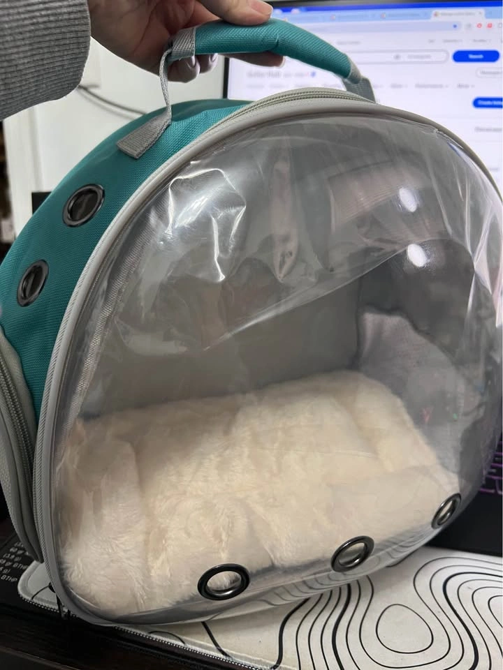 Small Pet Carrier Backpack with Cushion - photo 2