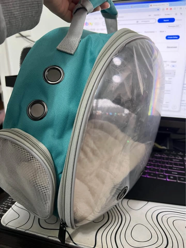 Small Pet Carrier Backpack with Cushion - photo 3