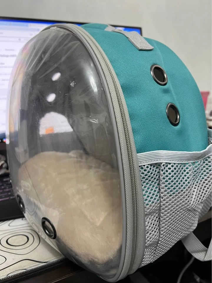 Small Pet Carrier Backpack with Cushion - photo 4