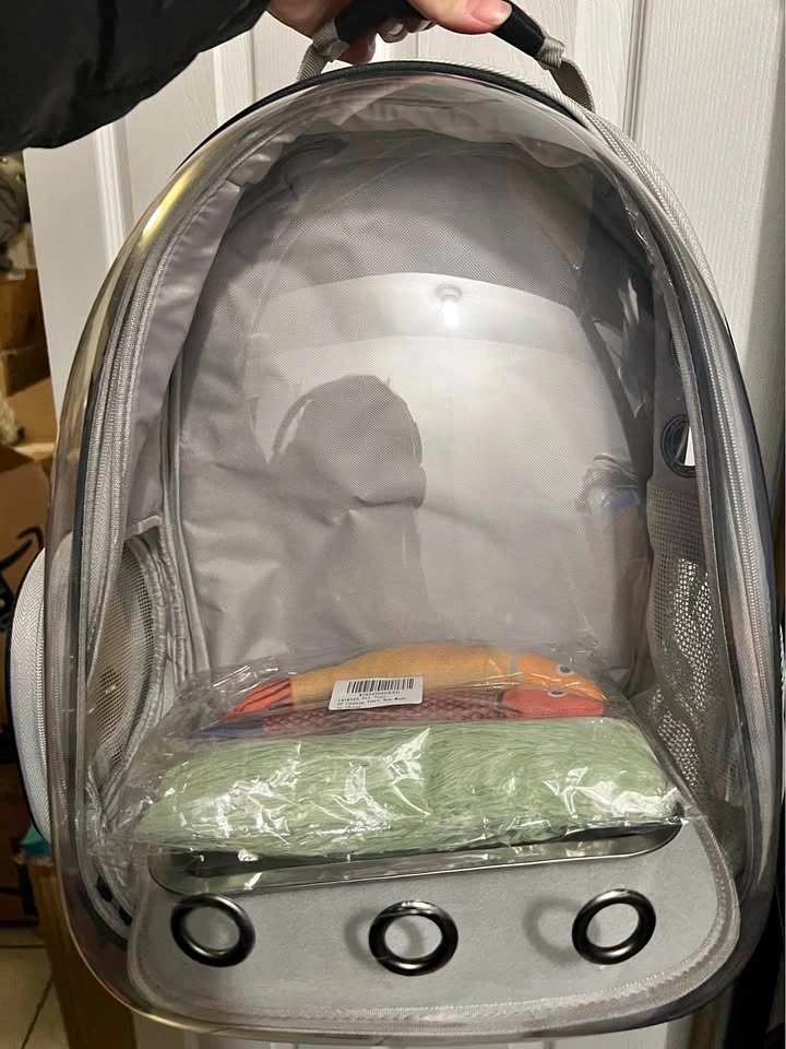 Pet Carrier Backpack with Plate & New Toy Set