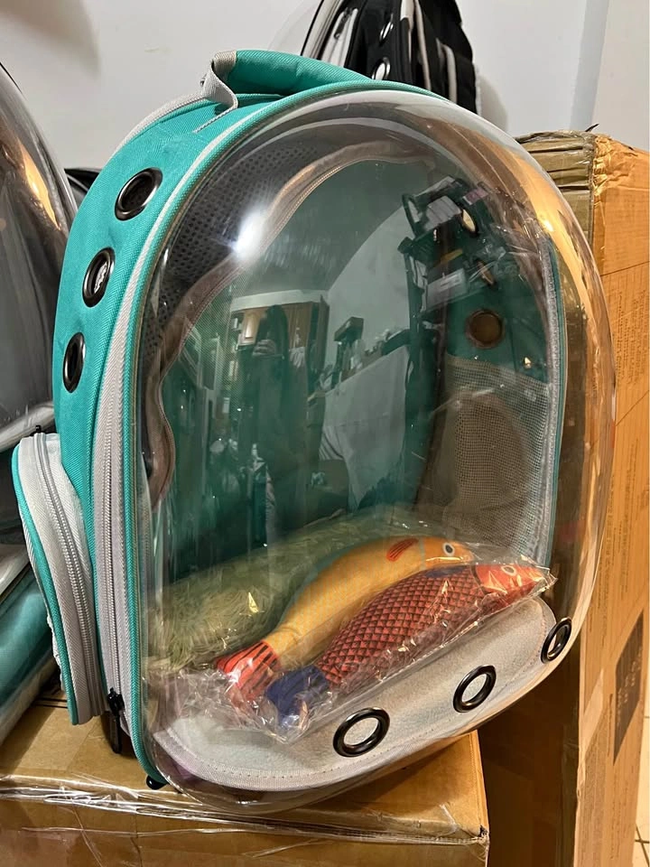 Teal Pet Carrier Backpack Bubble Window