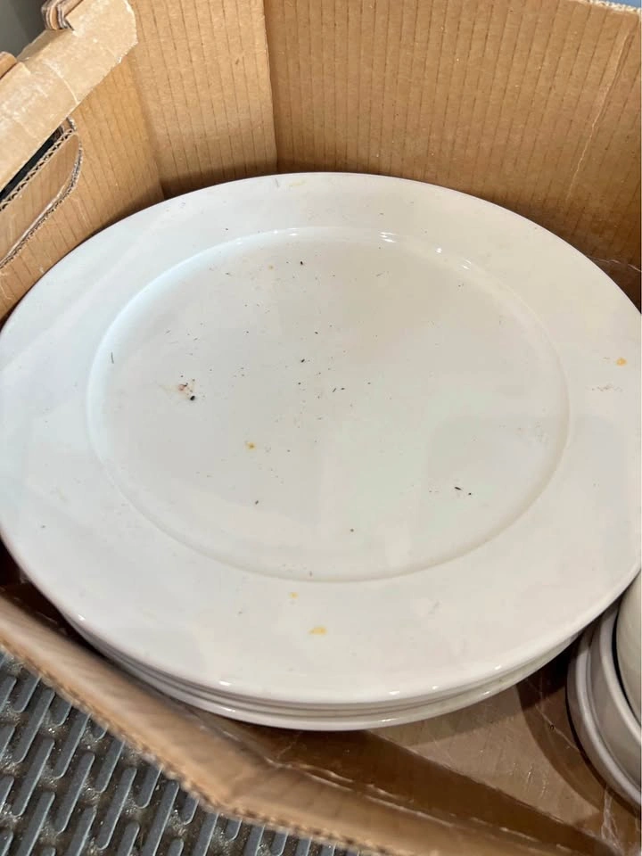 Dinner Plates - 4x 14", 2x 11.75", 5x 10.5" - $4 Each