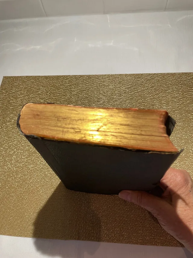 The Comprehensive Teacher’s Bible (c 1896) image indicator(3)