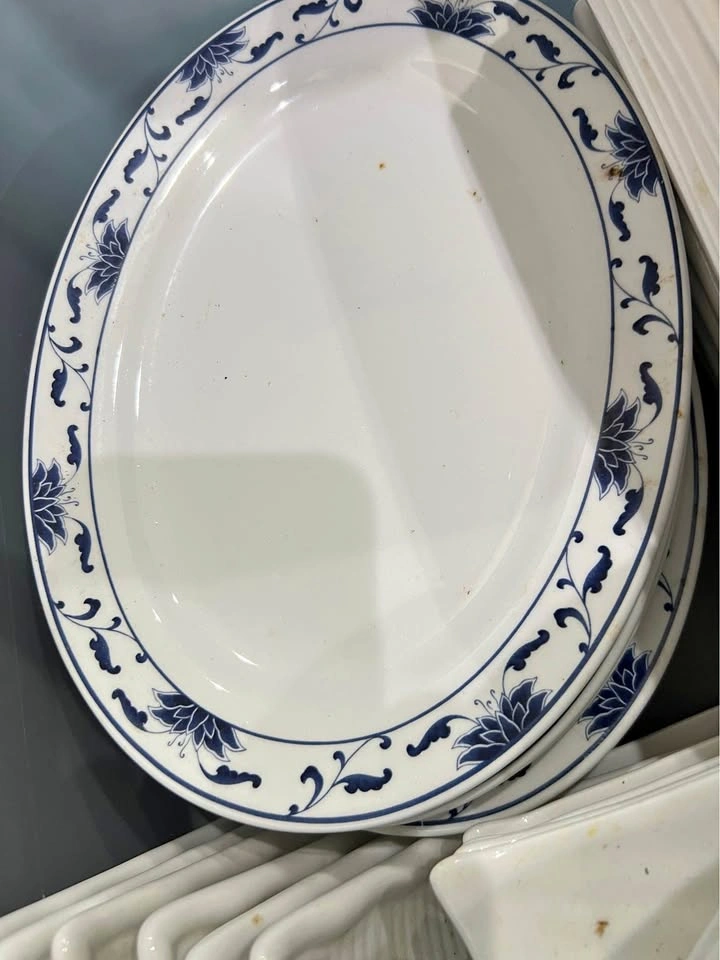 Platters, Break-Resistant, Dishwasher Safe - $2 Each