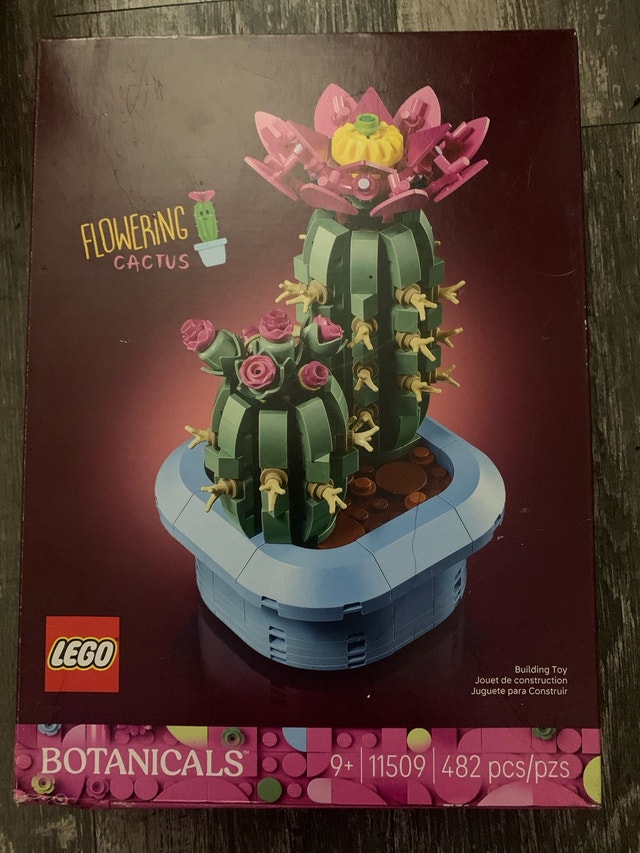 Lego cactus set
