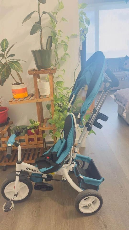 Kids Tricycle - photo 4