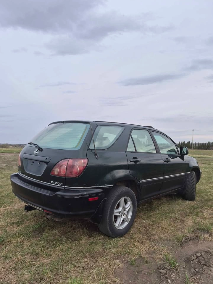 1999 Lexus RX 300 - photo 4