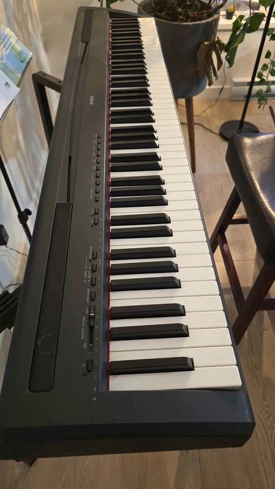 Yamaha P-95 Digital Piano Setup - photo 2