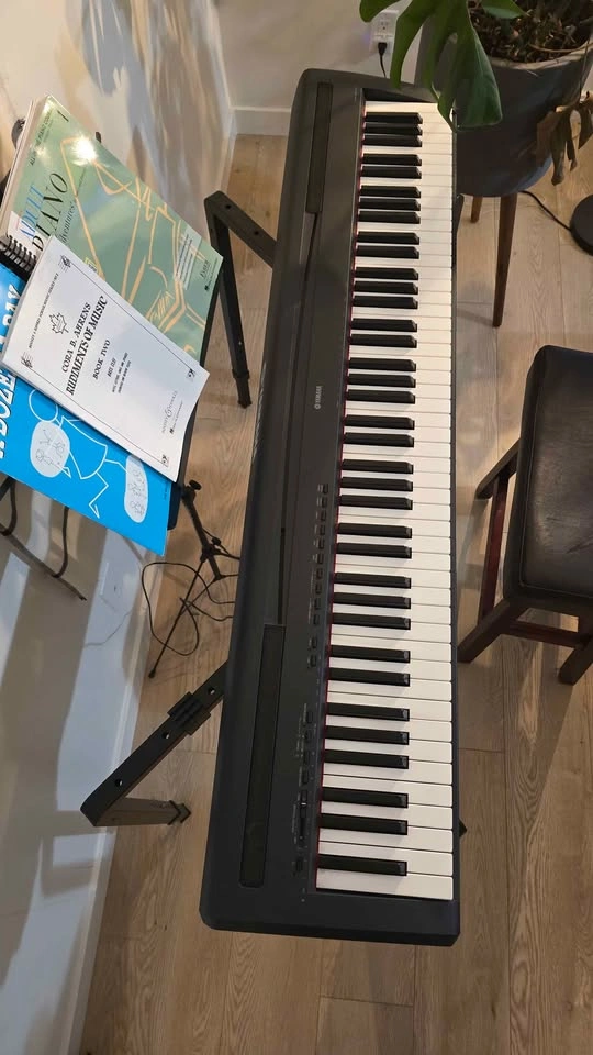 Yamaha P-95 Digital Piano Setup - photo 5