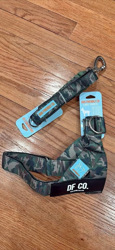 Dog Friendly Co. Dog Harness and Bungee Leash