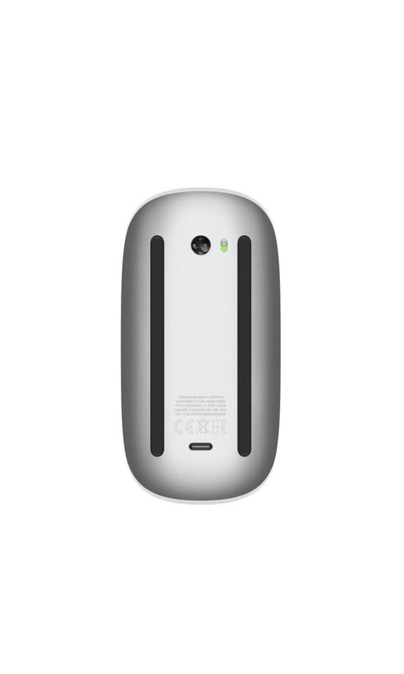 Magic Mouse - photo 4