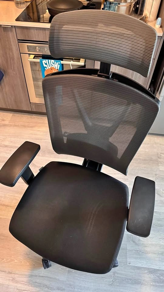 Ergonomic office chair Autonomous Ergochair pro