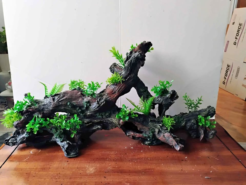 New aquarium decor