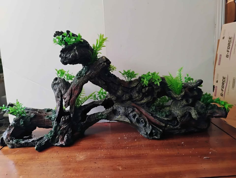 New aquarium decor - photo 2