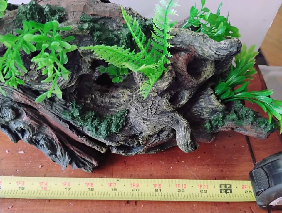 New aquarium decor - photo 3