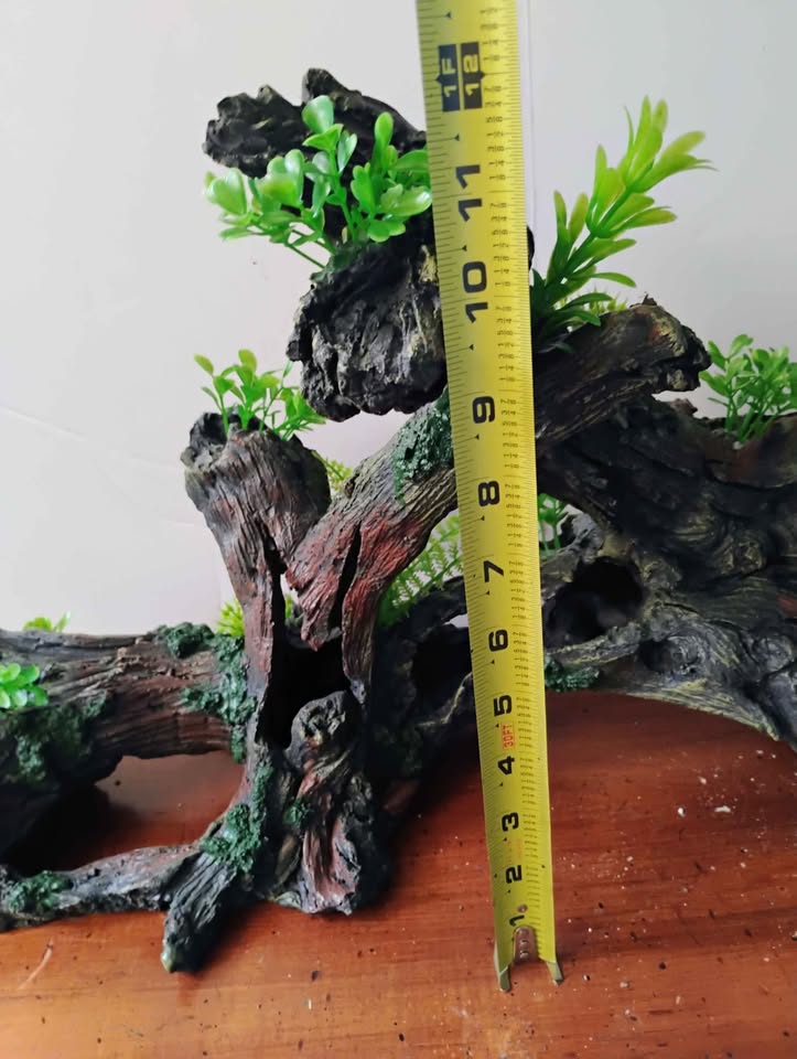 New aquarium decor - photo 4