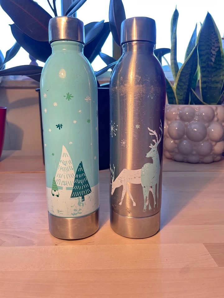 DAVIDsTEA Stainless Steel Bottles