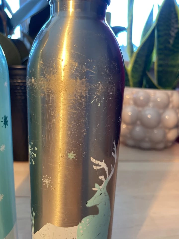 DAVIDsTEA Stainless Steel Bottles - photo 2