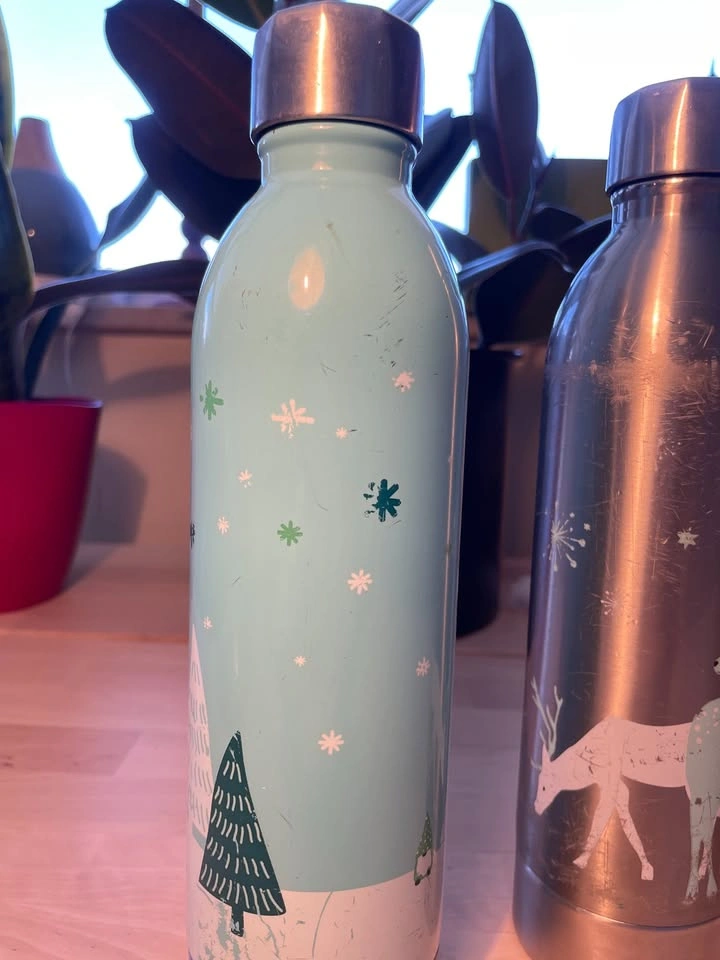 DAVIDsTEA Stainless Steel Bottles - photo 3
