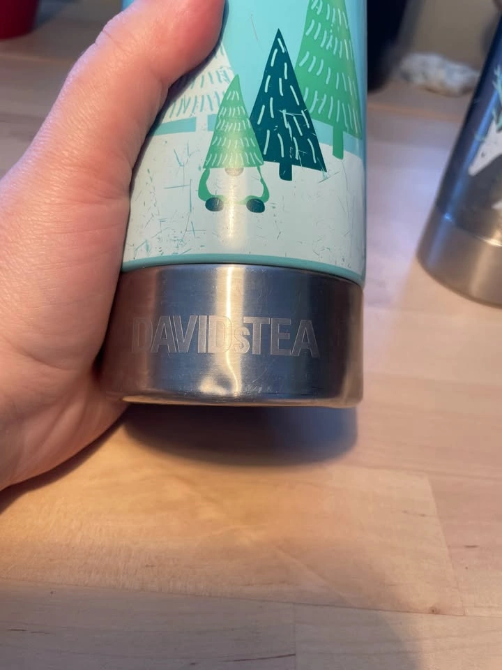 DAVIDsTEA Stainless Steel Bottles - photo 4