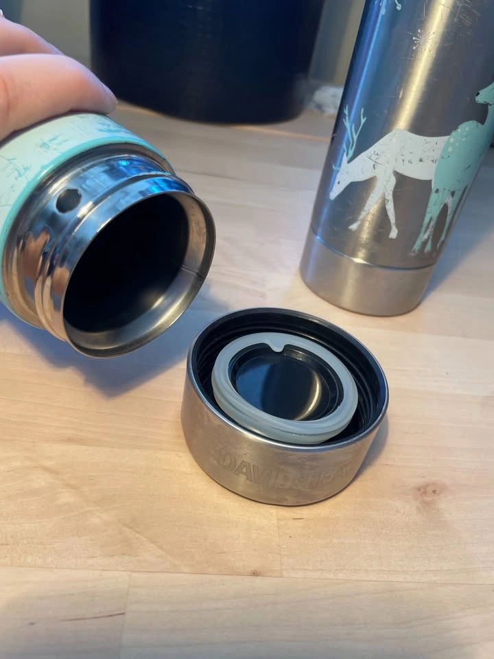 DAVIDsTEA Stainless Steel Bottles - photo 5