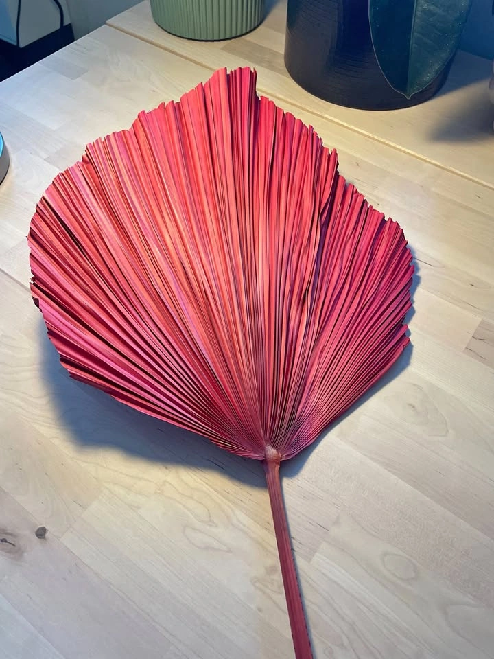Tall Sangria Red Dried Palm Leaf Decor, 52 inches