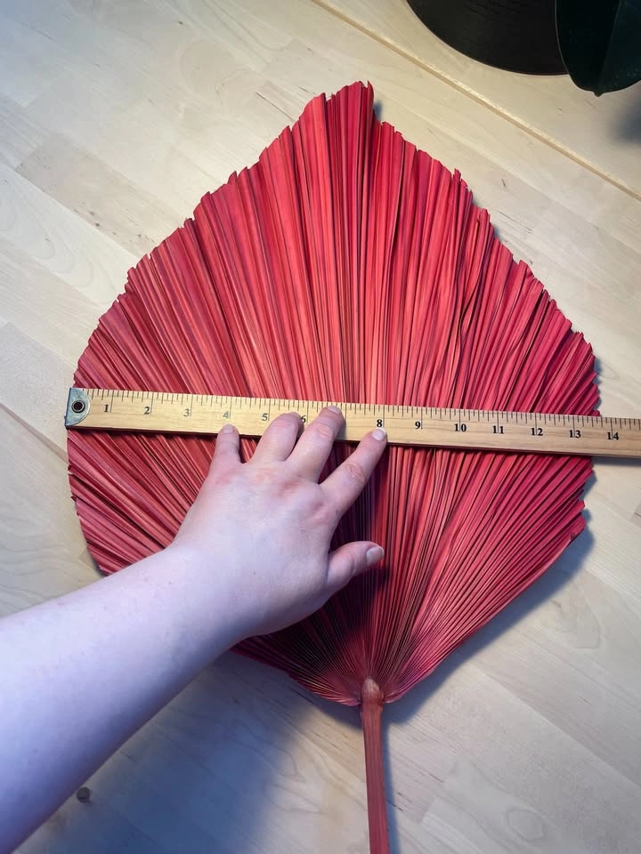 Tall Sangria Red Dried Palm Leaf Decor, 52 inches - photo 2